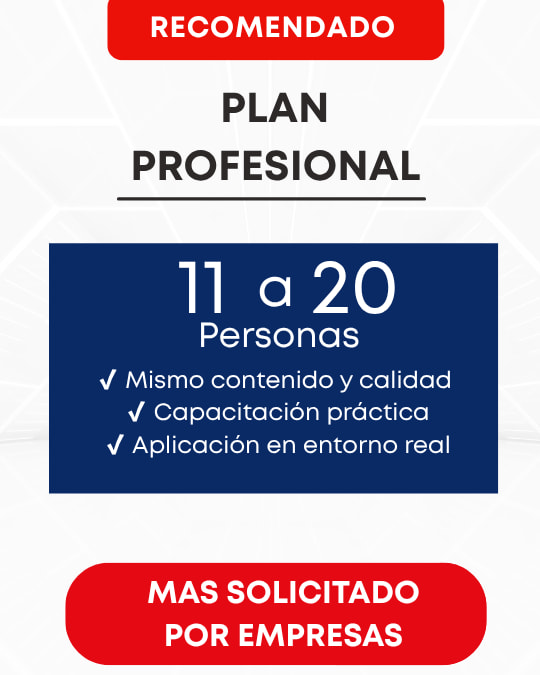 Seguridad y Salud Ocupacional.